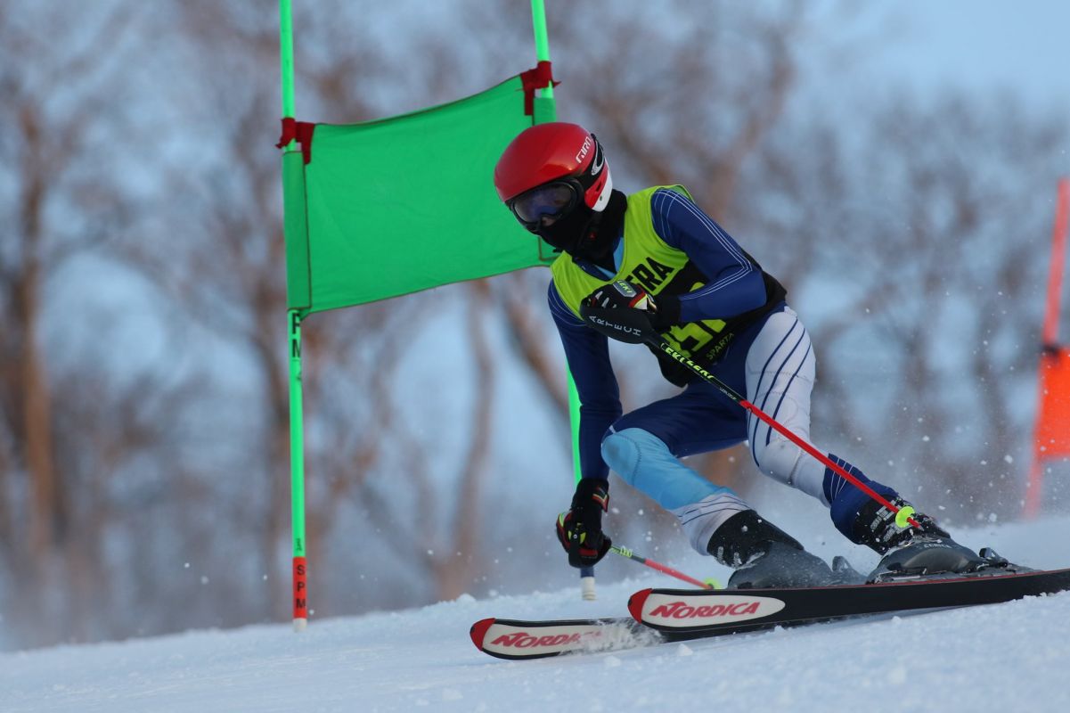 Giant Slalom Ski Race Giant Slalom Ski Race